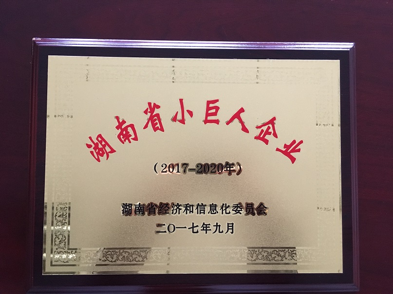 我司順利通過湖南省小巨人企業(yè)認(rèn)定